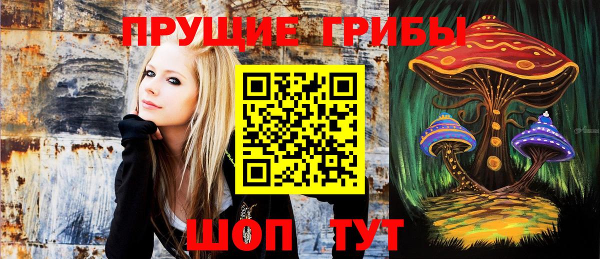 Галлюциногенные грибы GOLDEN TEACHER Артём