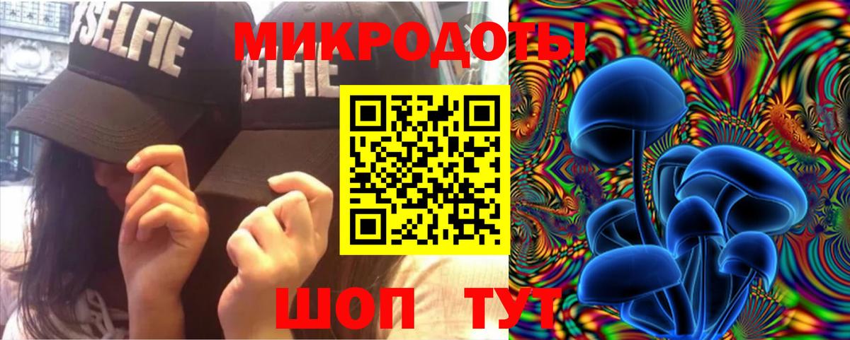Галлюциногенные грибы Psilocybine cubensis  Вход с VPN  Артём 